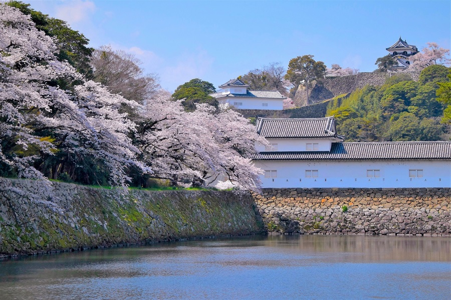 【滋賀県彦根市】おすすめのトランクルーム・レンタル倉庫3選！