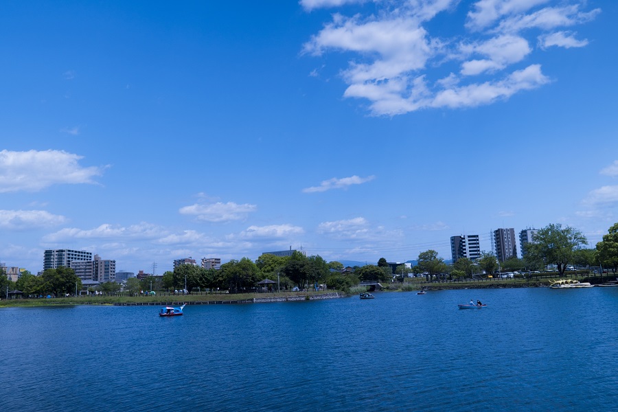 【熊本市南区】おすすめのトランクルーム・レンタル倉庫3選！