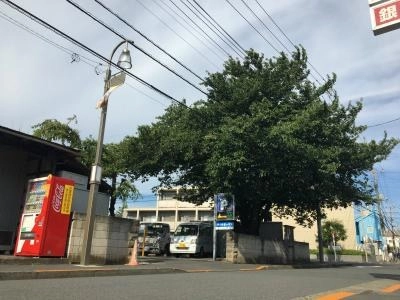 初月賃料無料のバイクボックス東小金井店の写真